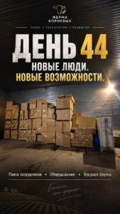 День 44. Новые люди. Новые возможности 🌱
