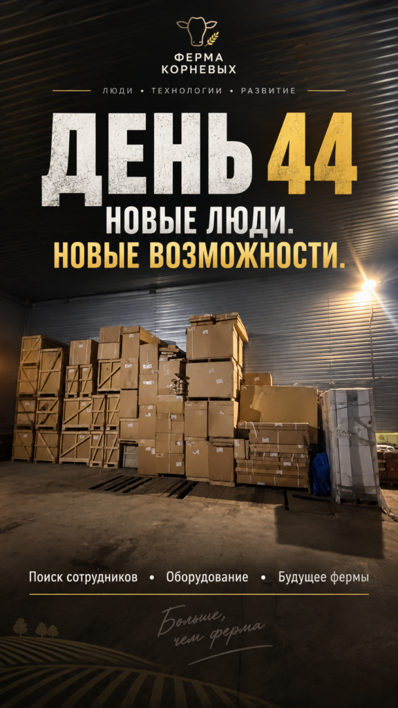 День 44. Новые люди. Новые возможности 🌱
